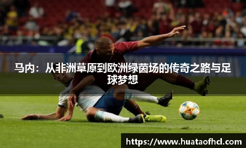 中欧体育在线网页登录